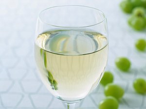 方案最新趋势解读